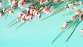 Dr. Lynne Racette, Naturopathic Doctor